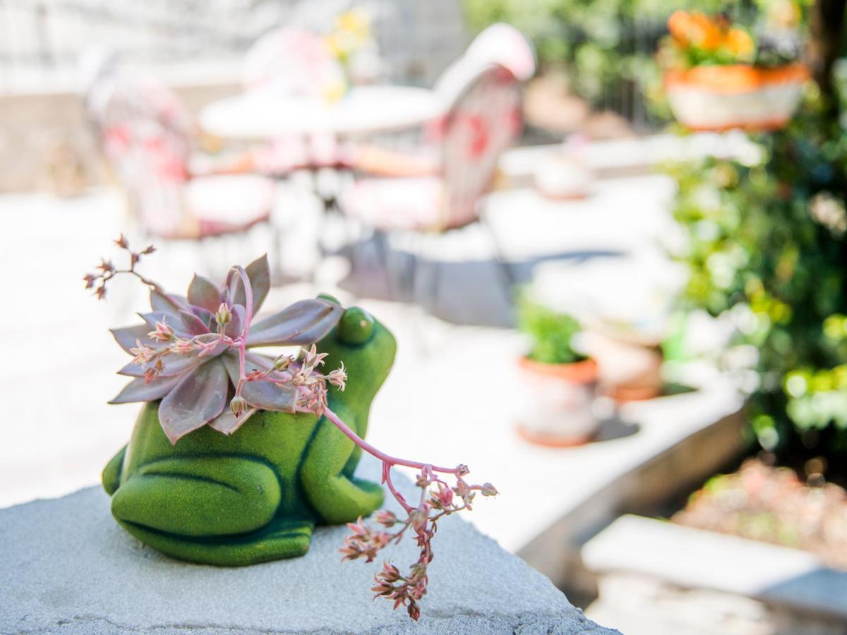Green Home Apartments Kotor Ngoại thất bức ảnh